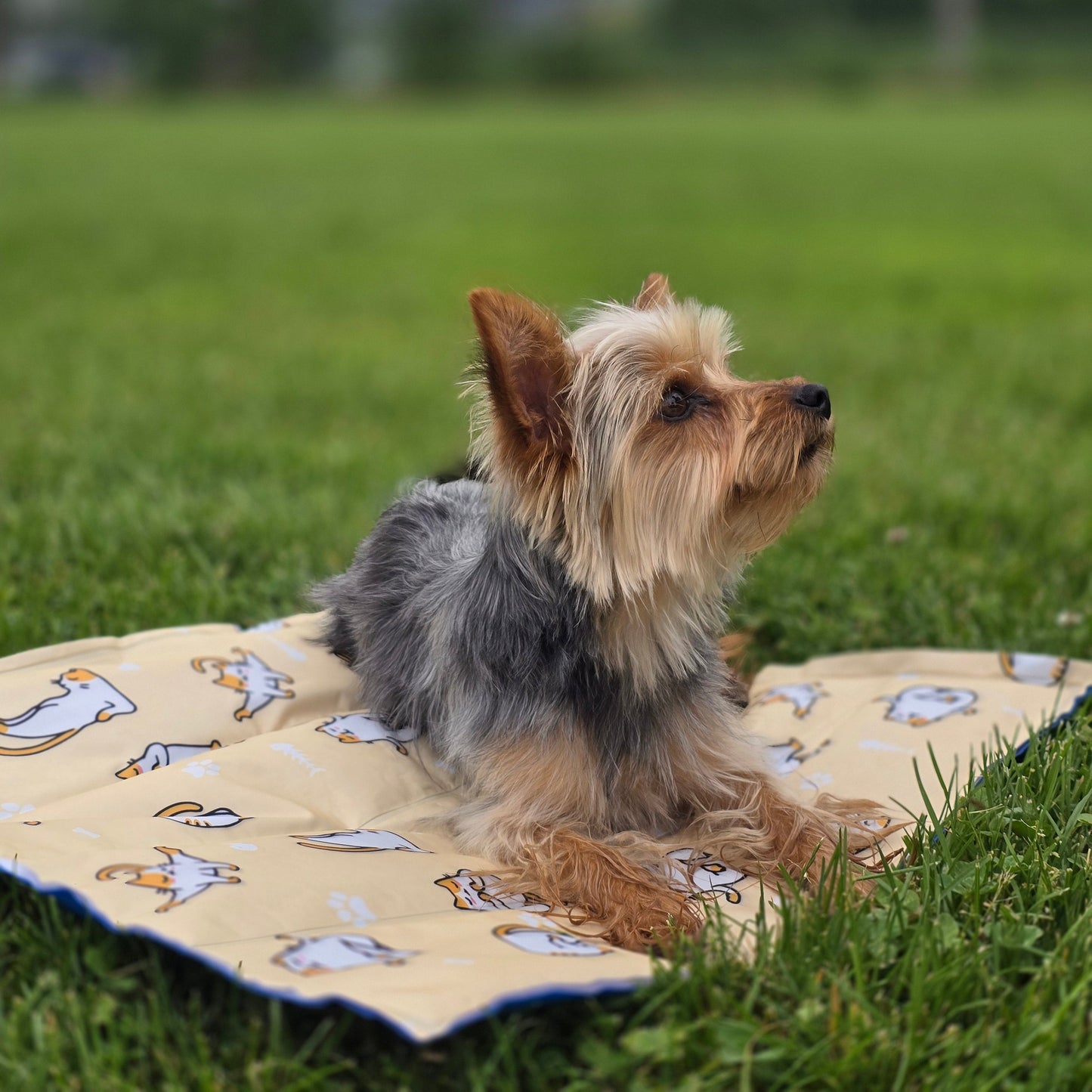 Indestructible Cooling Gel Pet Mat - Keep Your Pets Chill and Happy!