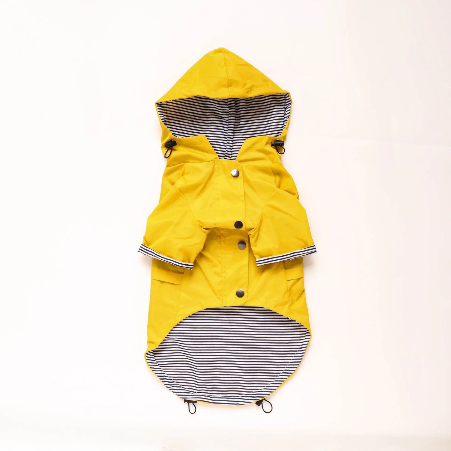 Waterproof Sport Dog Hoodie - Adventure Ready!
