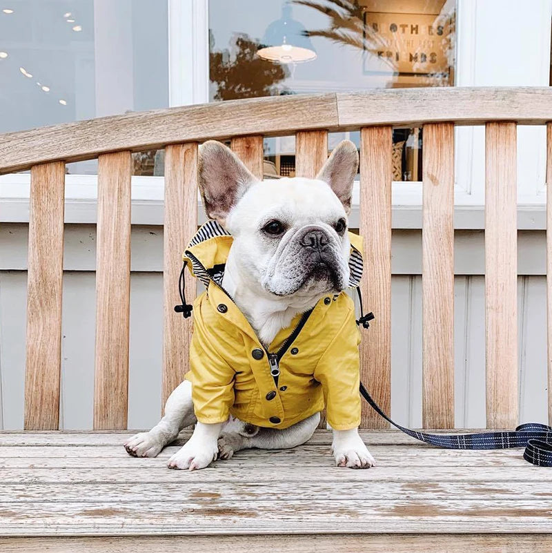 Waterproof Sport Dog Hoodie - Adventure Ready!