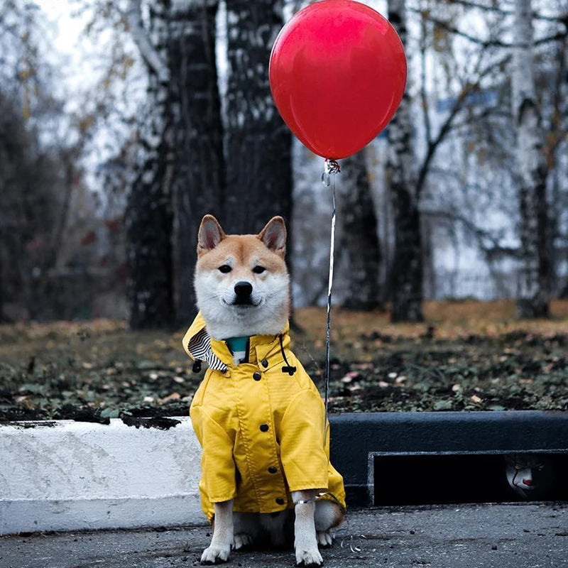 Waterproof Sport Dog Hoodie - Adventure Ready!
