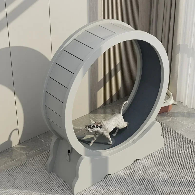 Eco-Friendly Cat Running Wheel - The Ultimate Exercise Equipment for Happy Cats