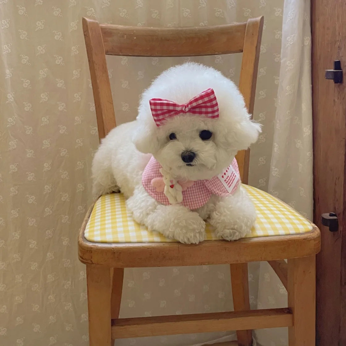 Mystery Paw Cute Plaid Rabbit Cape & Scarf for Small Dogs & Cats