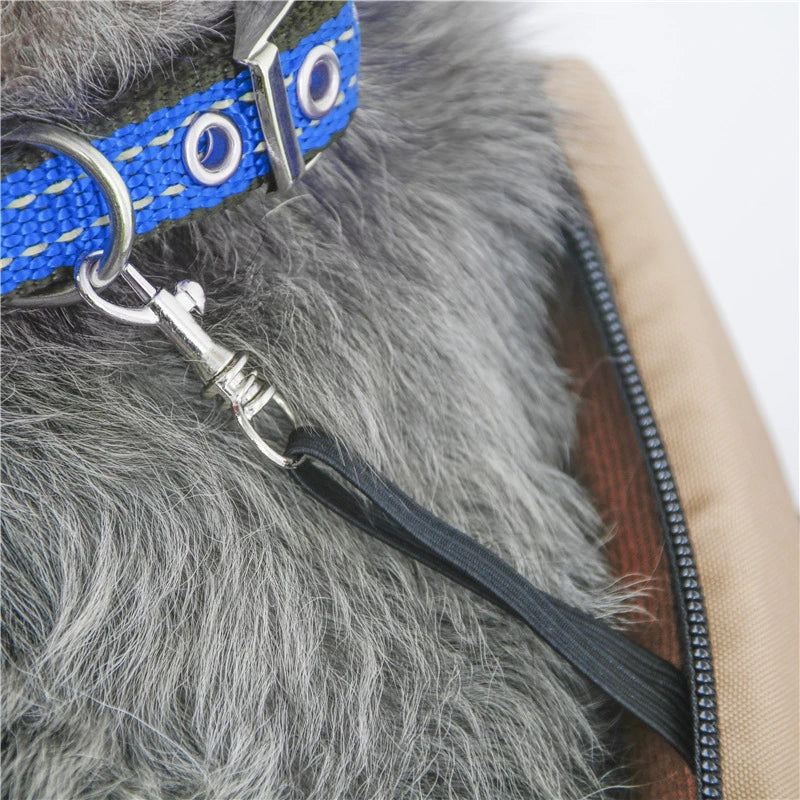 Breathable Summer Carriers: Perfect for Small Dogs and Cats!