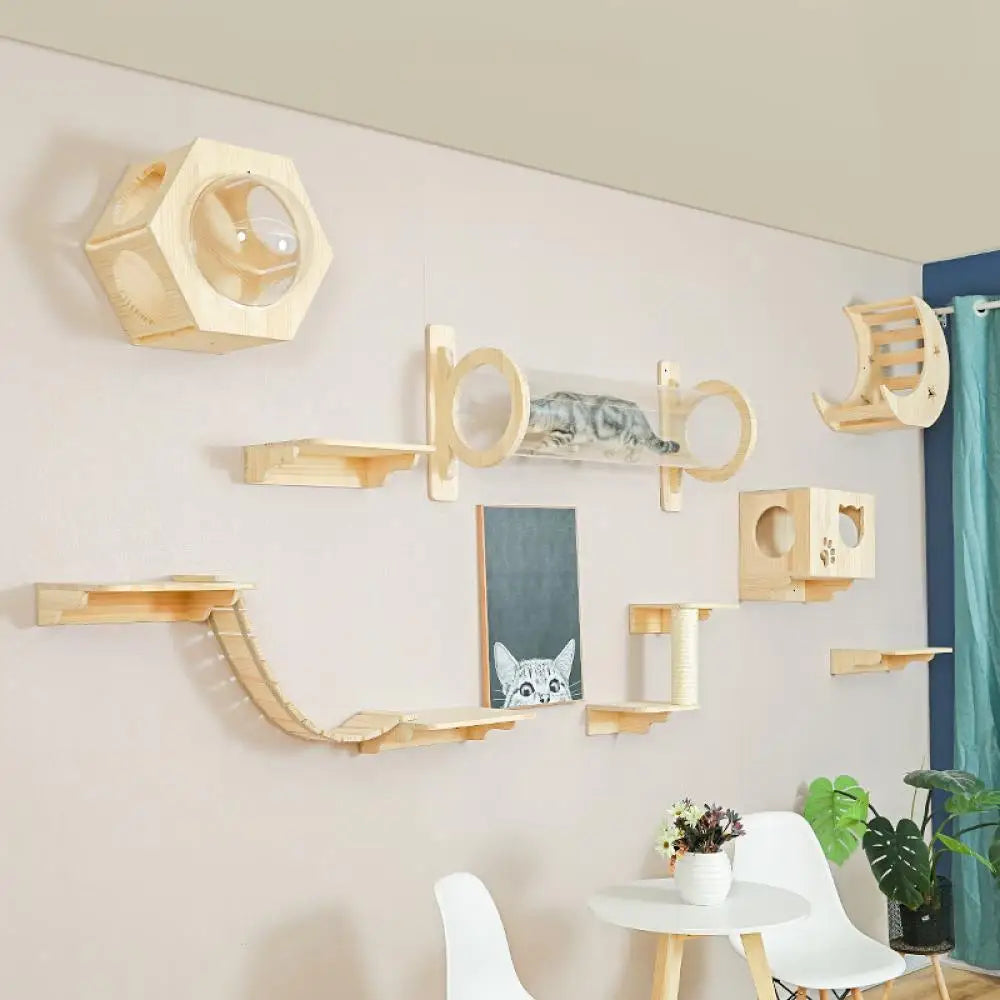 Mystery Paw Wall-Mounted Cat Playground: Climb, Scratch, Lounge!