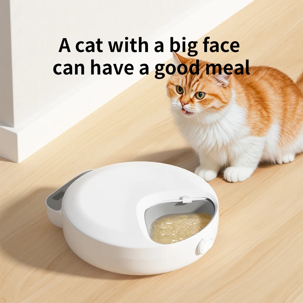Mystery Paw 4-Meal Automatic Pet Feeder: Fresh Meals for Cats & Dogs