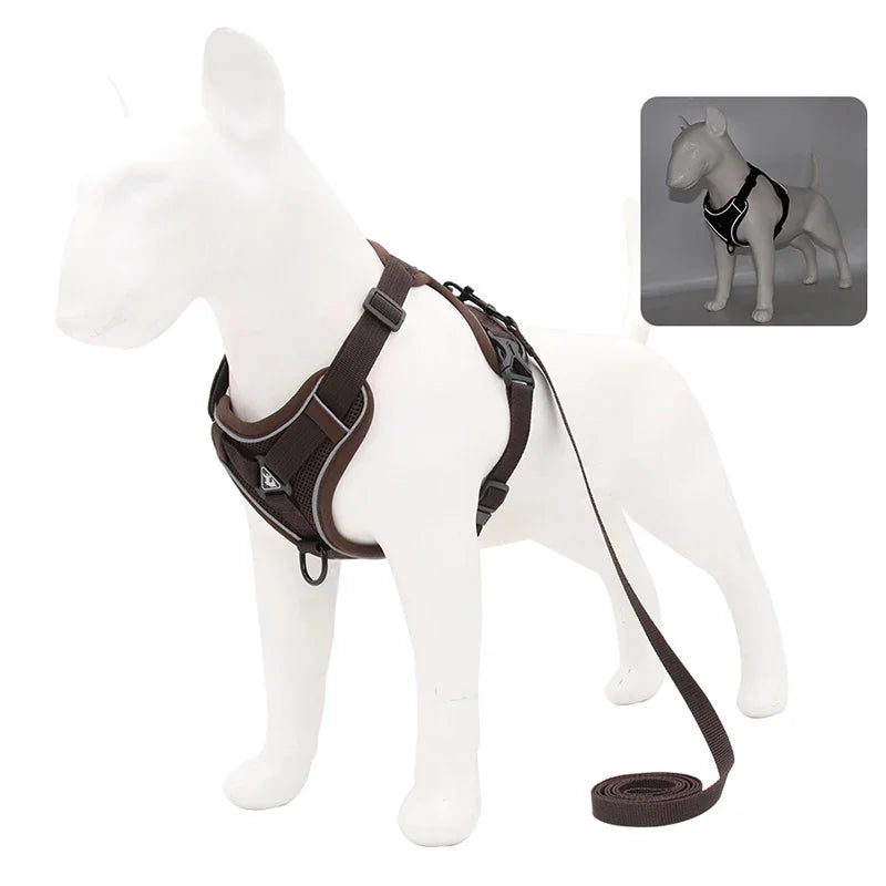 Reflective No Pull Harness & Leash Set for Dogs and Cats - Mystery Paw
