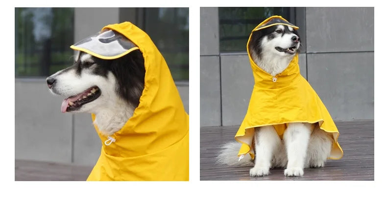 Mystery Paw Waterproof Dog Raincoat - Perfect for Any Adventure!