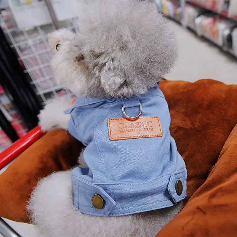 Mystery Paw Spring & Summer Dog Denim Vest with Leash Ring
