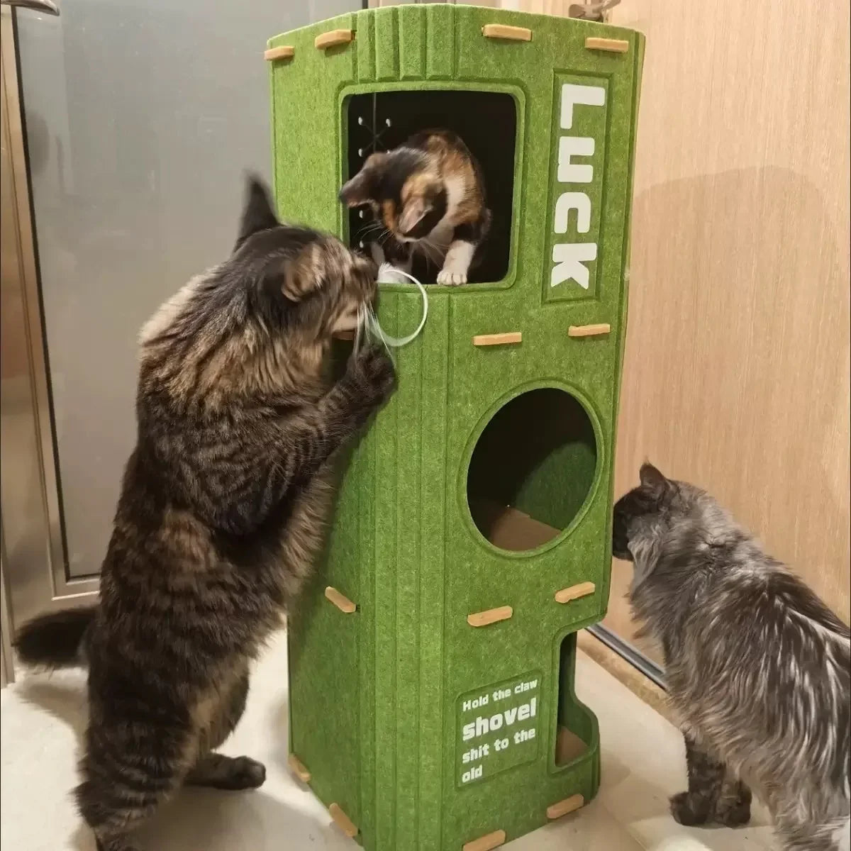 Mystery Paw Multi-layer Cat House & Climbing Frame