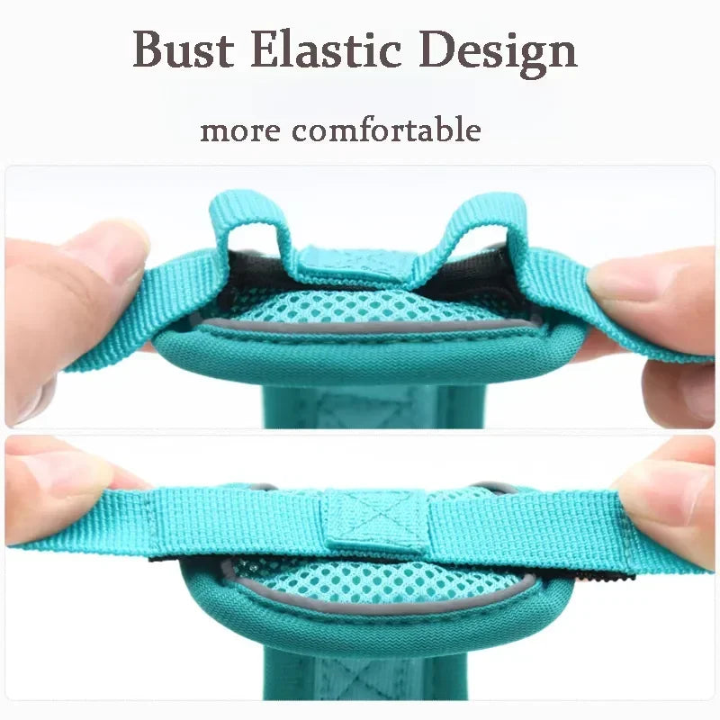 Reflective No Pull Harness & Leash Set for Dogs and Cats - Mystery Paw