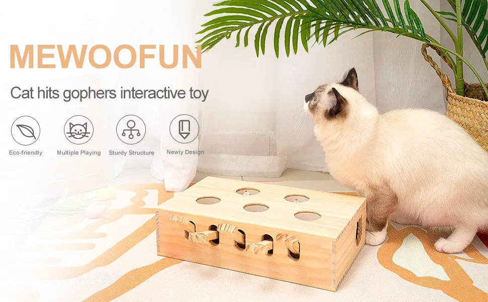 Mystery Paw's Whack-a-Mole Interactive Cat Toy