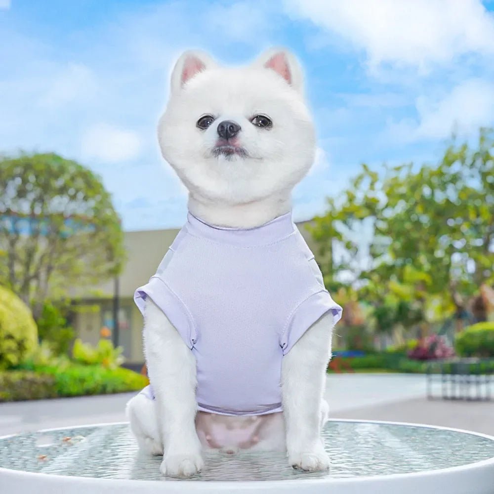 Kawaii Summer Cool Dog Vest - Breathable & Stylish Sun Protection