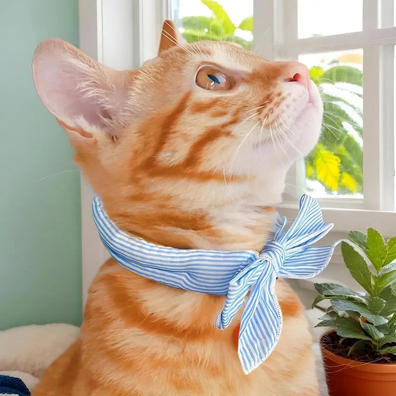 Mystery Paw Pet Cooling Ice Scarf