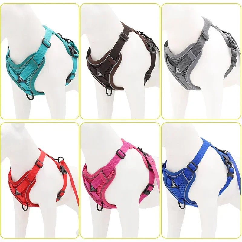 Reflective No Pull Harness & Leash Set for Dogs and Cats - Mystery Paw