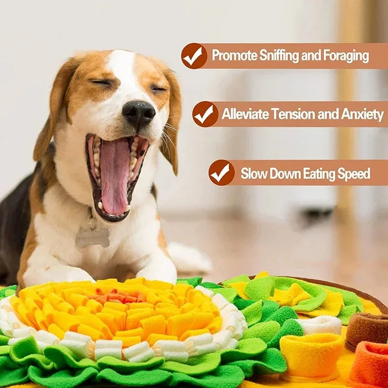 Mystery Paw Snuffle Mat: Slow Feeder & Enrichment for Dogs