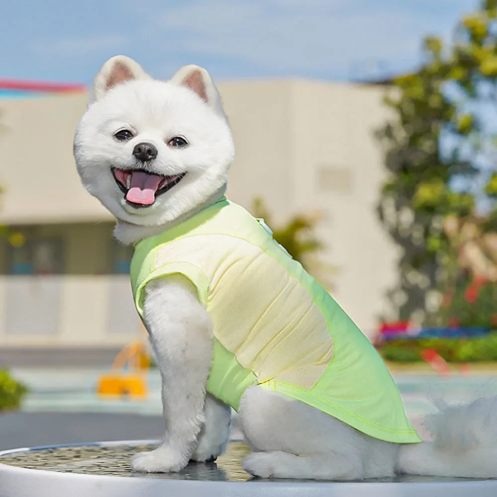 Kawaii Summer Cool Dog Vest - Breathable & Stylish Sun Protection