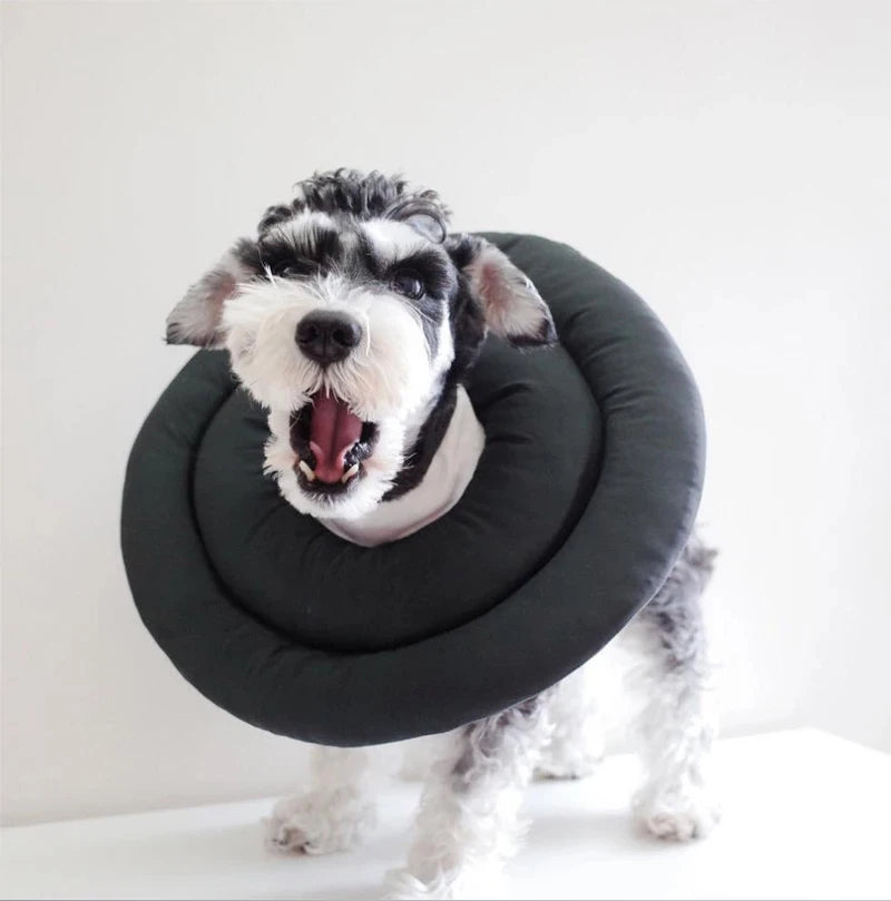 Mystery Paw Pet Healing Cone: Ultimate Protection for Your Furry Friends