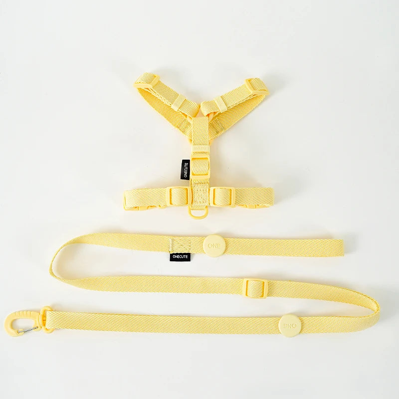 Mystery Paw Reflective H Shape Harness & Leash Set for Puppies & Cats