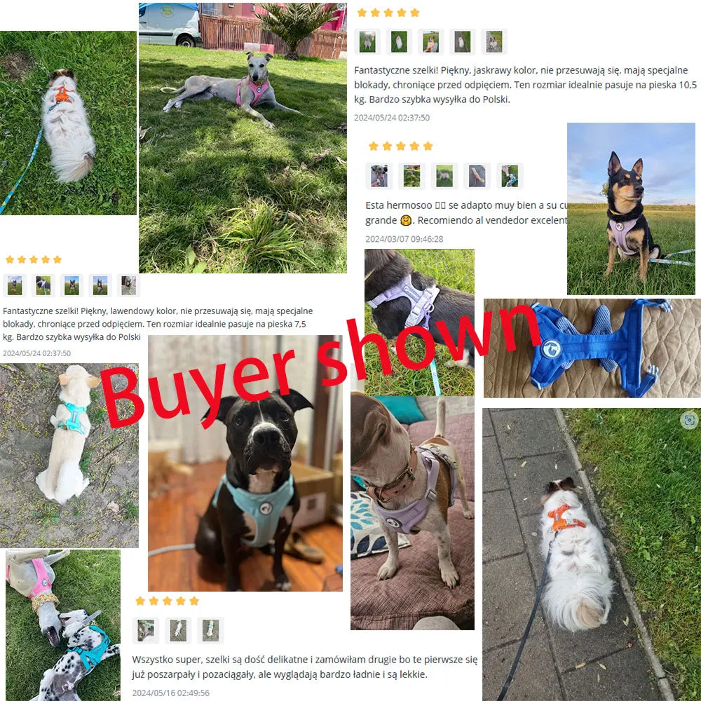 Mystery Paw No-Pull Reflective Dog Harness Vest