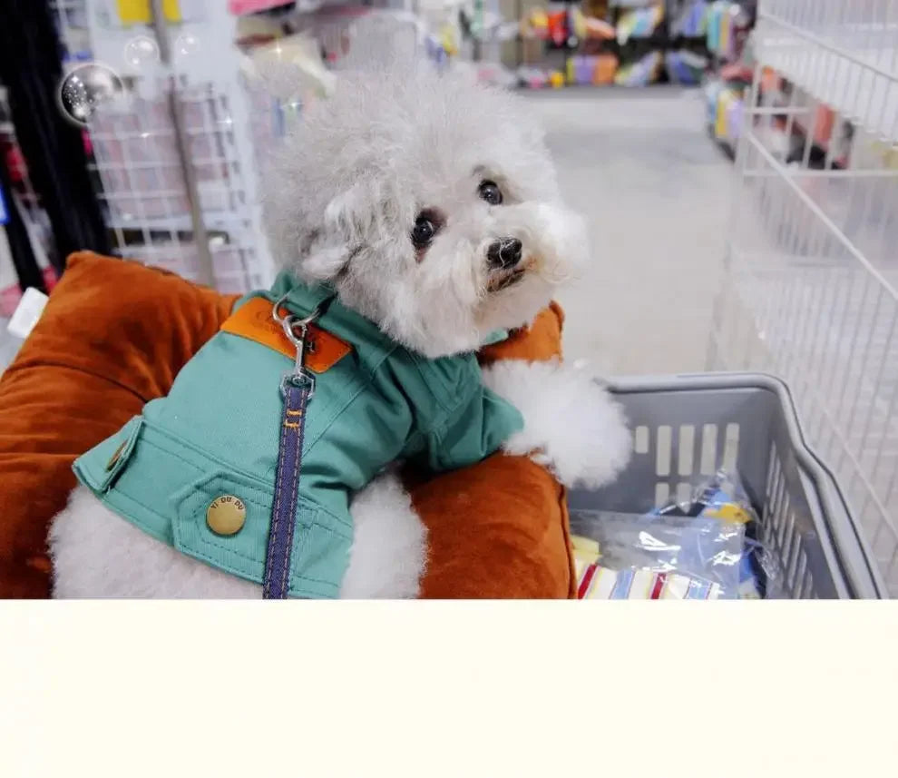 Mystery Paw Spring & Summer Dog Denim Vest with Leash Ring