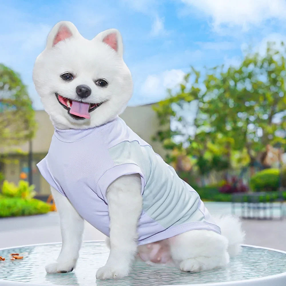 Kawaii Summer Cool Dog Vest - Breathable & Stylish Sun Protection