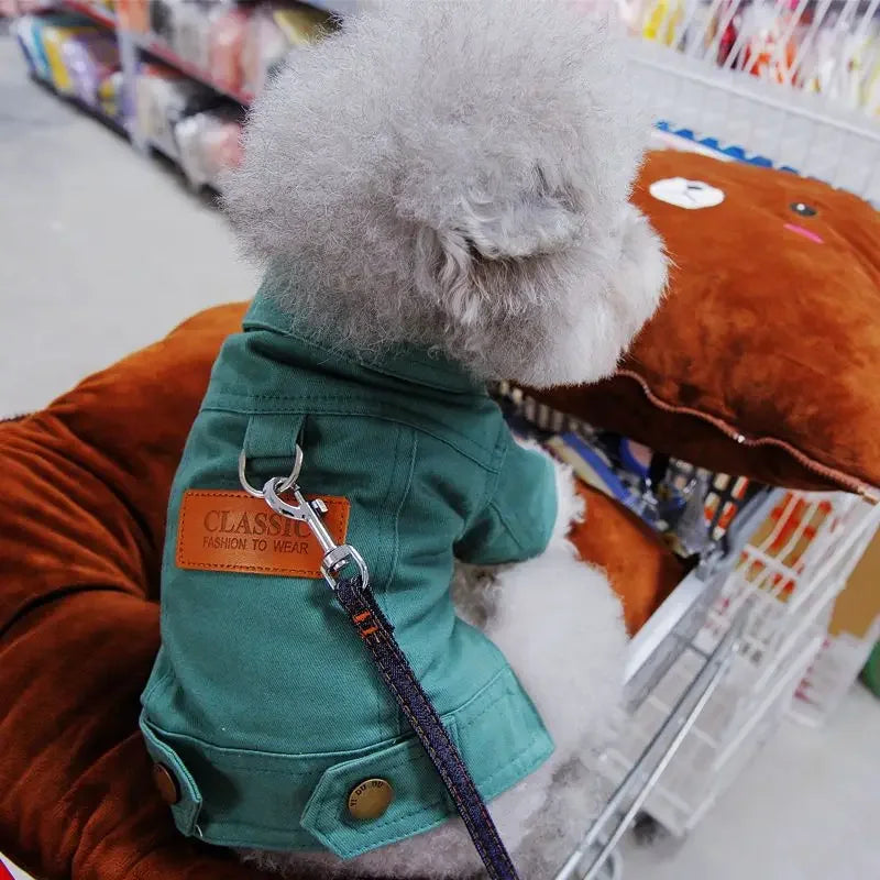 Mystery Paw Spring & Summer Dog Denim Vest with Leash Ring