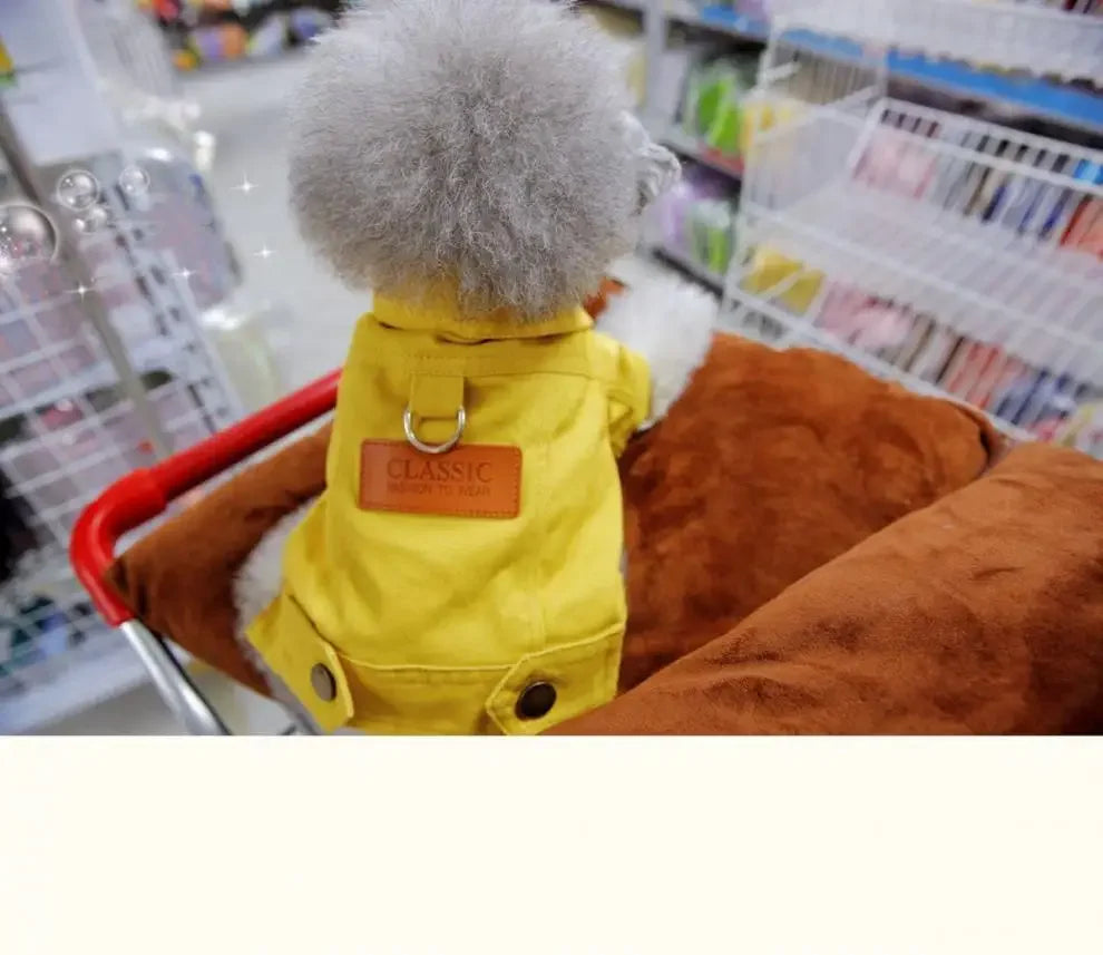 Mystery Paw Spring & Summer Dog Denim Vest with Leash Ring