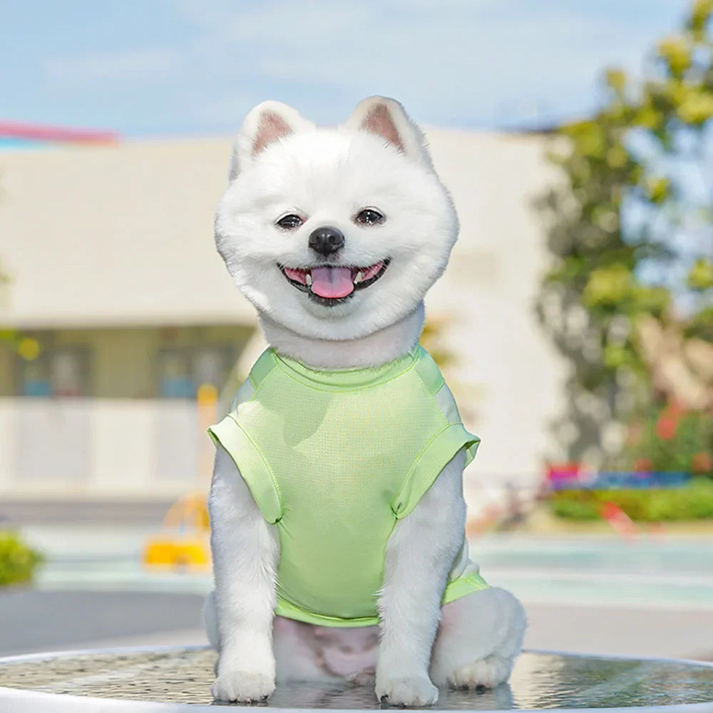 Kawaii Summer Cool Dog Vest - Breathable & Stylish Sun Protection