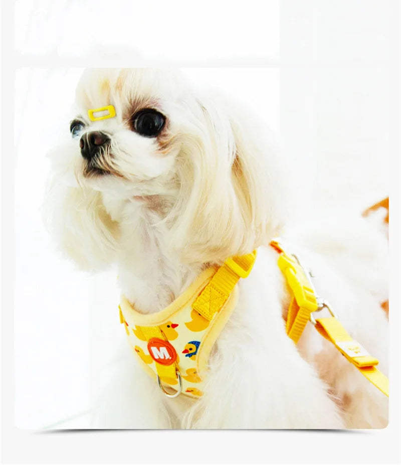 Animal Print Adjustable Vest Harness & Leash Set for Small Dogs and Cats
