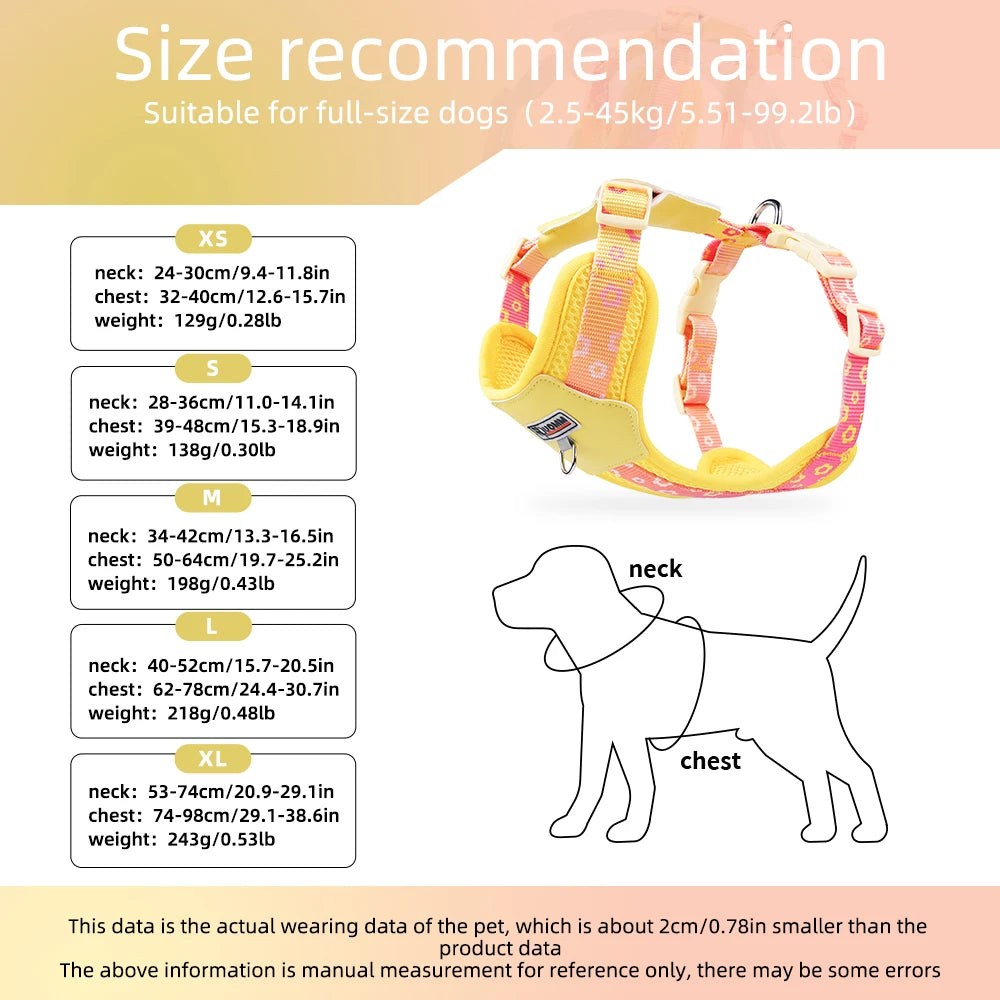 Mystery Paw Colorful Gradient Dog Harness - No Pull & Breathable
