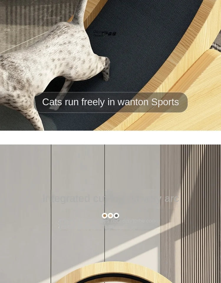 Eco-Friendly Cat Running Wheel - The Ultimate Exercise Equipment for Happy Cats