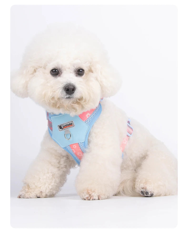 Mystery Paw Colorful Gradient Dog Harness - No Pull & Breathable