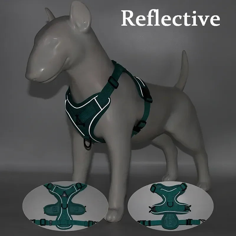 Reflective No Pull Harness & Leash Set for Dogs and Cats - Mystery Paw