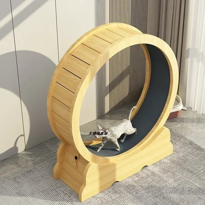 Eco-Friendly Cat Running Wheel - The Ultimate Exercise Equipment for Happy Cats