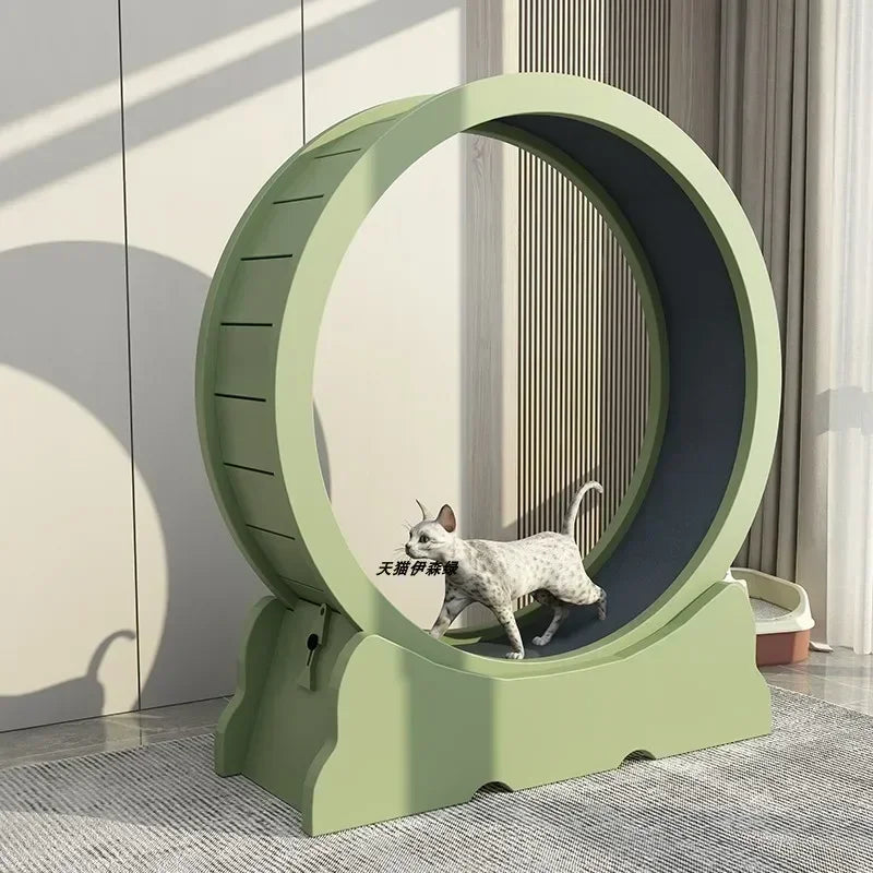 Eco-Friendly Cat Running Wheel - The Ultimate Exercise Equipment for Happy Cats