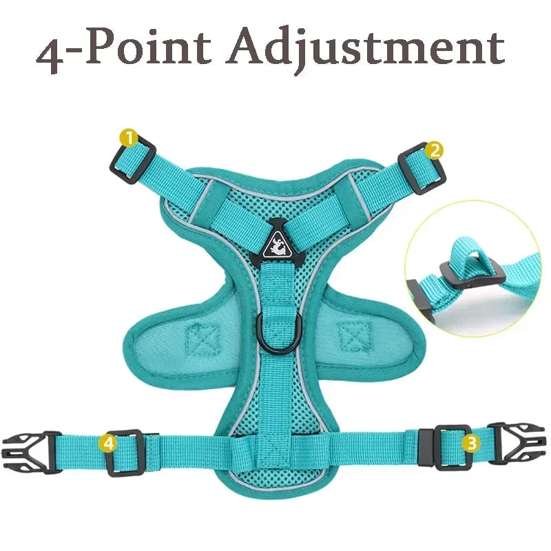 Reflective No Pull Harness & Leash Set for Dogs and Cats - Mystery Paw