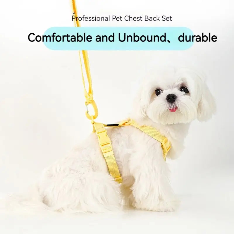 Mystery Paw Reflective H Shape Harness & Leash Set for Puppies & Cats