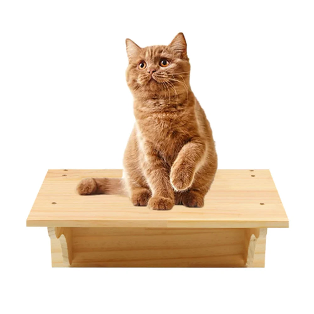 Mystery Paw Wall-Mounted Cat Playground: Climb, Scratch, Lounge!
