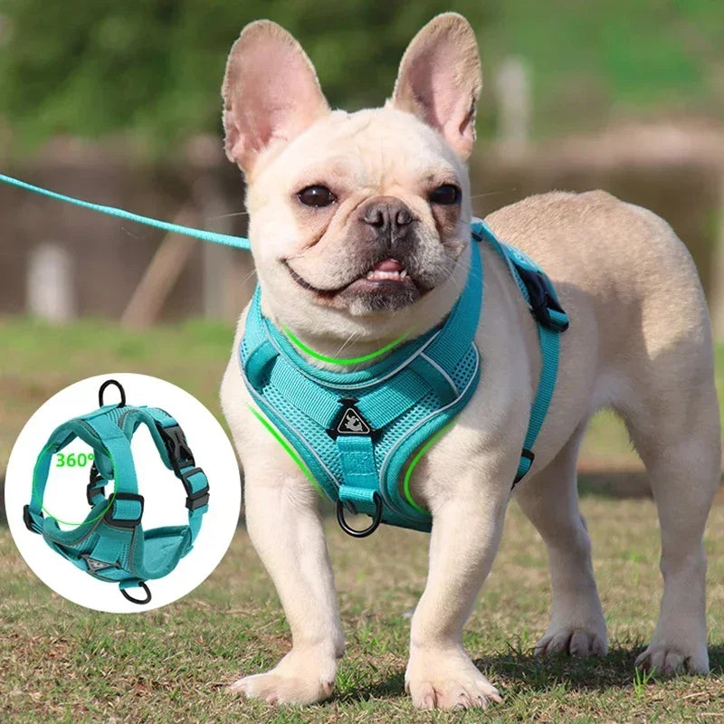 Reflective No Pull Harness & Leash Set for Dogs and Cats - Mystery Paw