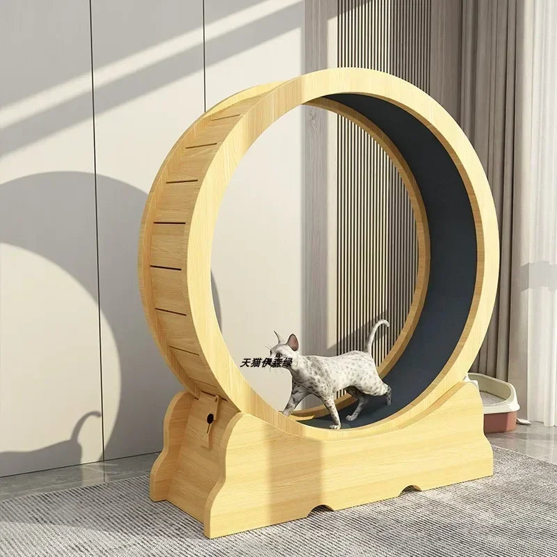 Eco-Friendly Cat Running Wheel - The Ultimate Exercise Equipment for Happy Cats