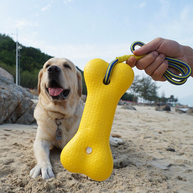 Indestructible Yellow Dog Toy Collection: Fetch, Tug, & Chew Fun!