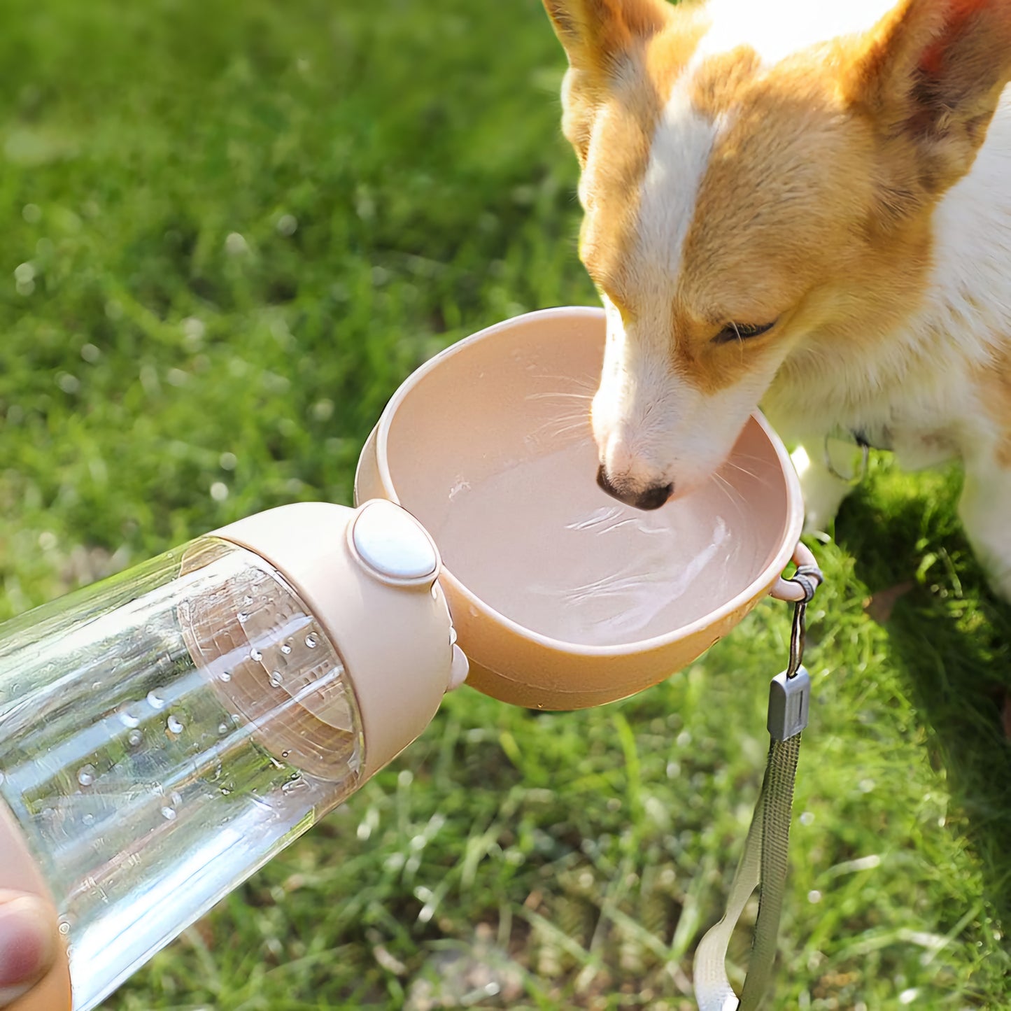 Adventure-Ready Portable Dog Water Bottle