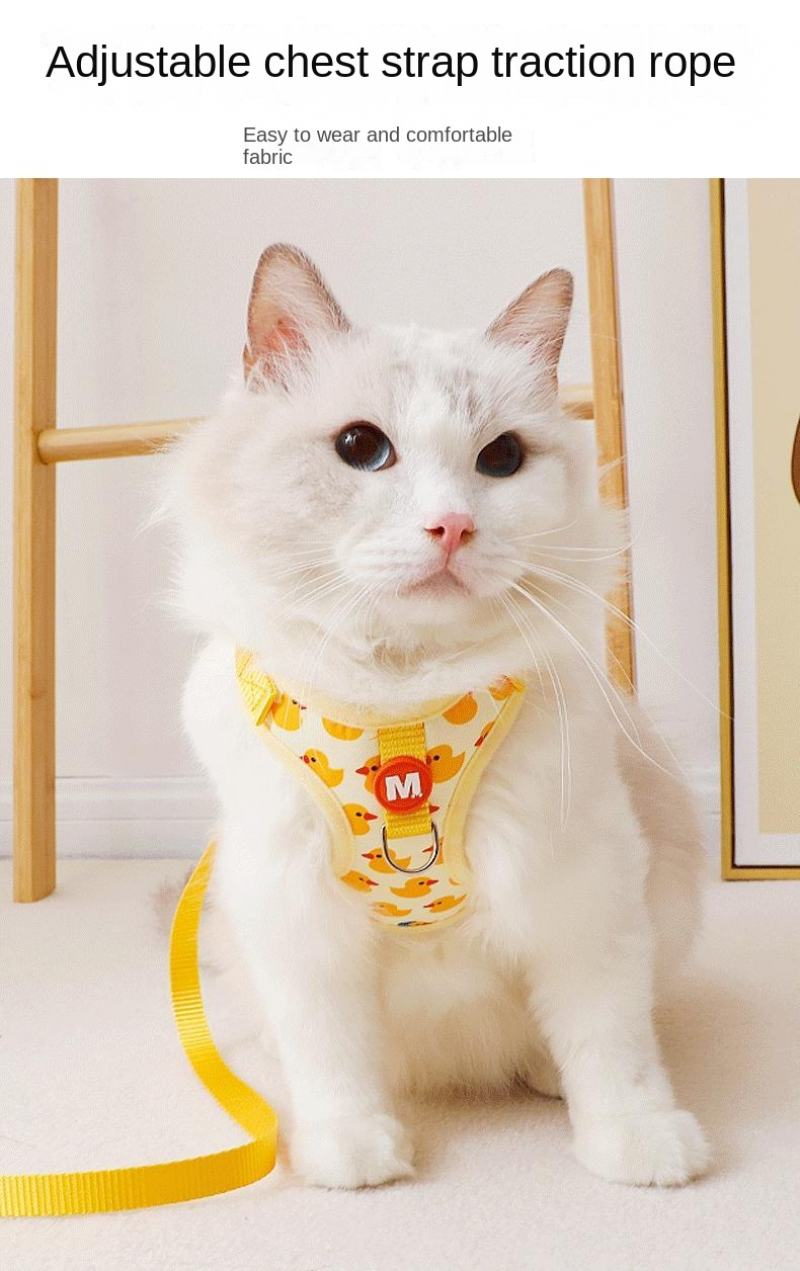 Mystery Paw Cartoon Duck Harness & Leash Set for Small Dogs & Cats
