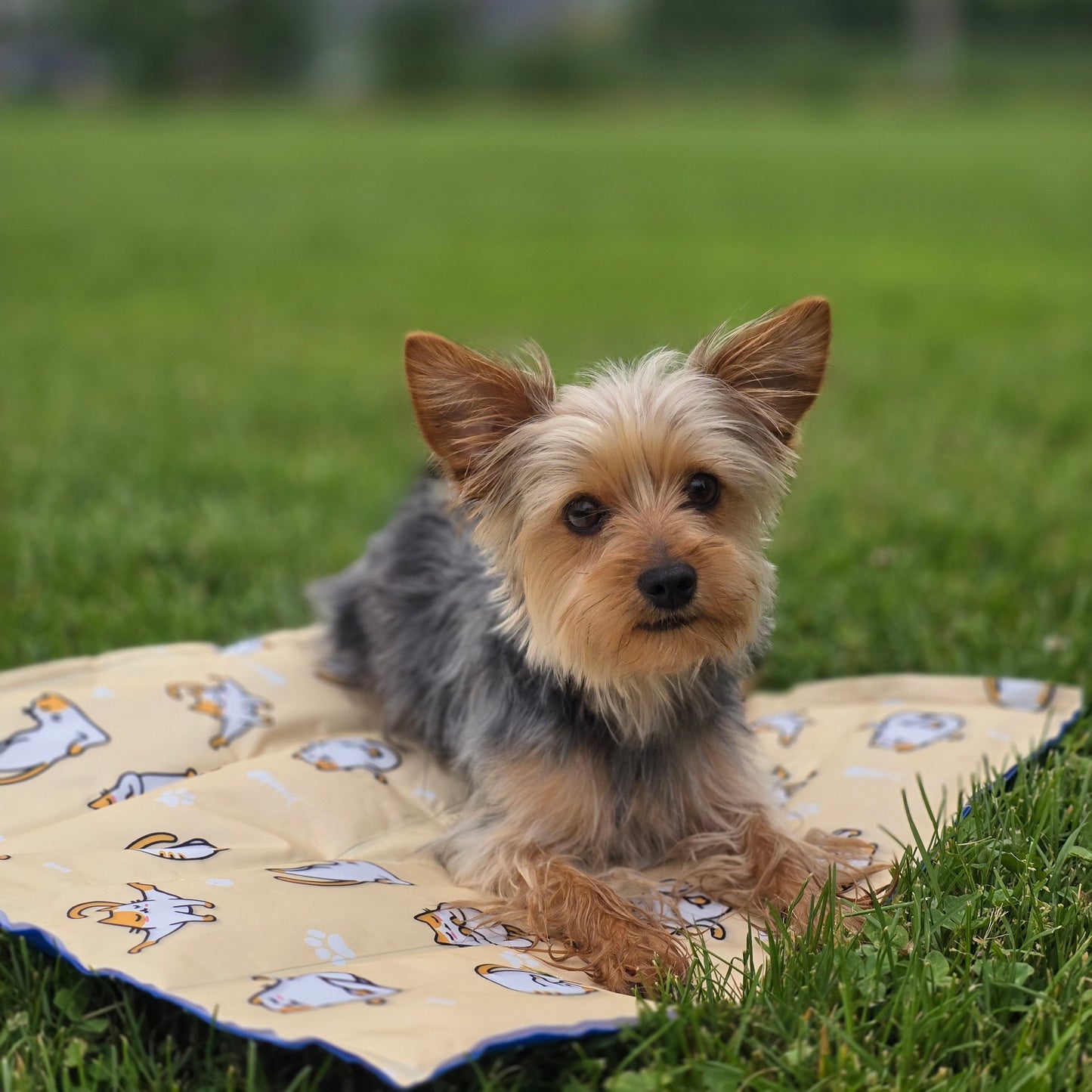 Indestructible Cooling Gel Pet Mat - Keep Your Pets Chill and Happy!