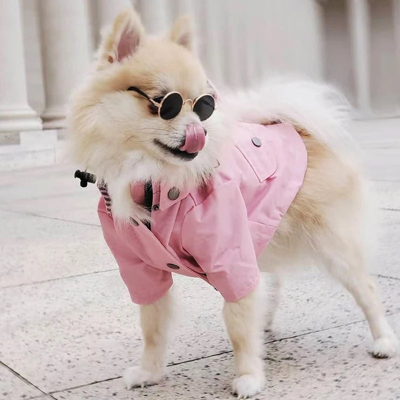 Waterproof Sport Dog Hoodie - Adventure Ready!