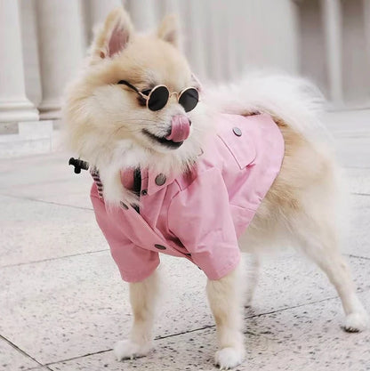 Waterproof Sport Dog Hoodie - Adventure Ready!