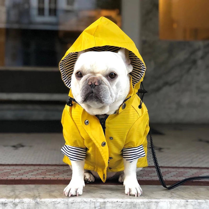 Waterproof Sport Dog Hoodie - Adventure Ready!