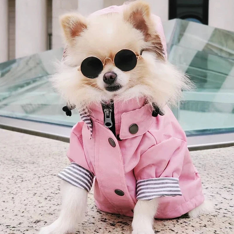 Waterproof Sport Dog Hoodie - Adventure Ready!