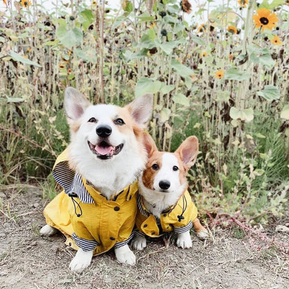 Waterproof Sport Dog Hoodie - Adventure Ready!