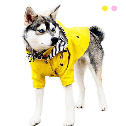 Waterproof Sport Dog Hoodie - Adventure Ready!